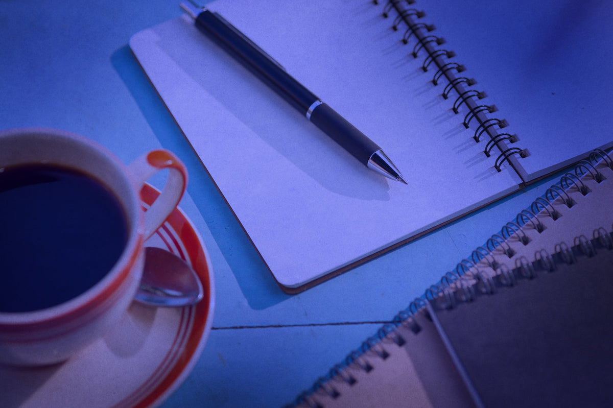 Sibyl Writing Craft Workshops