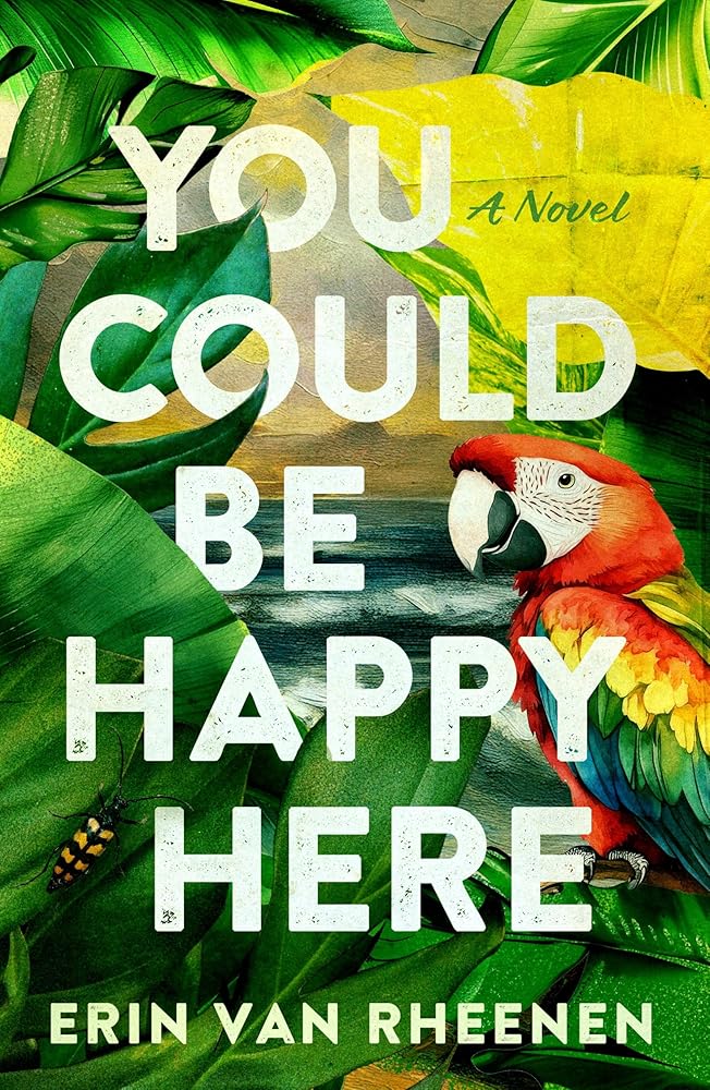 You Could Be Happy Here cover image