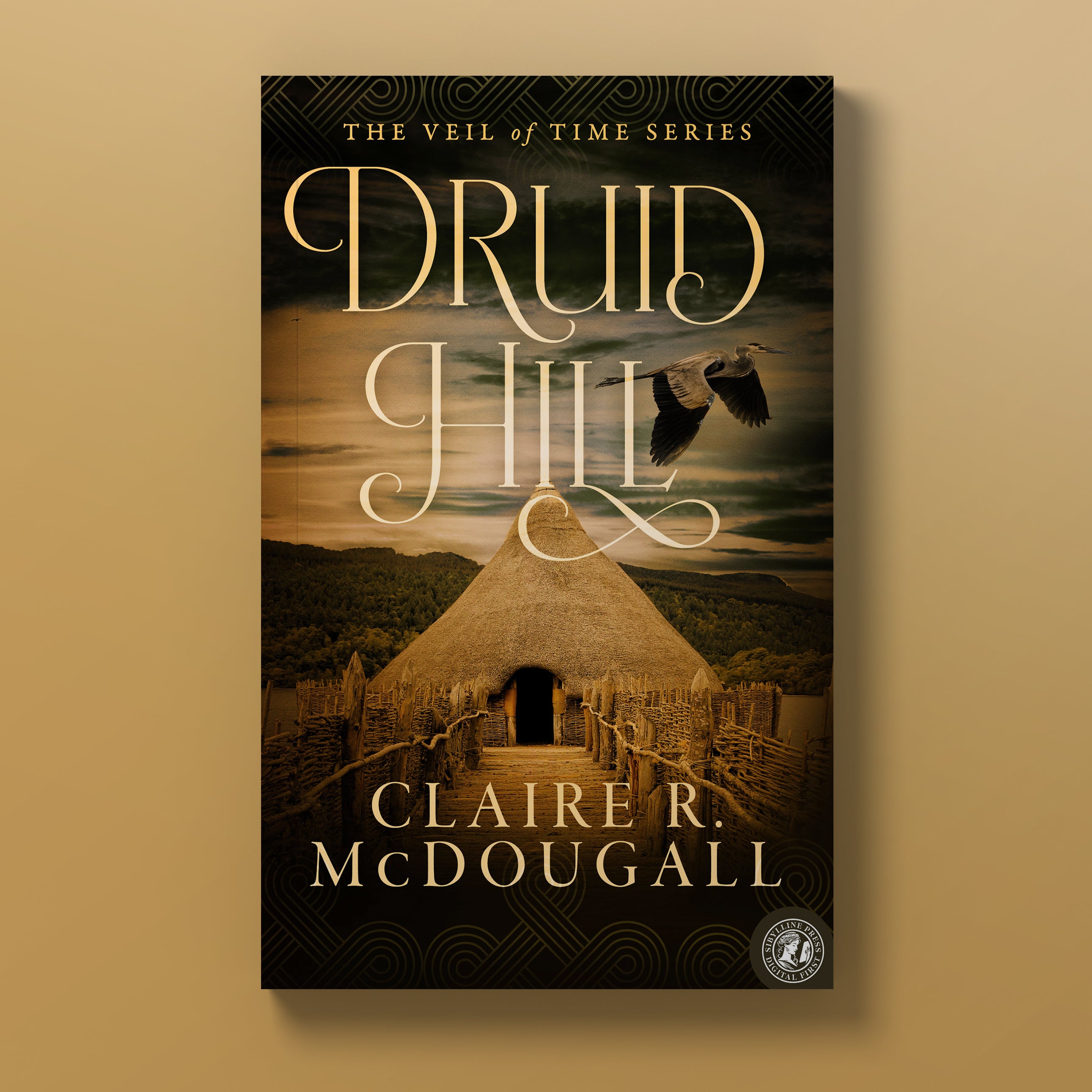 Druid Hill: A Veil of Time Novel (Book 2) (The Veil of Time Series)