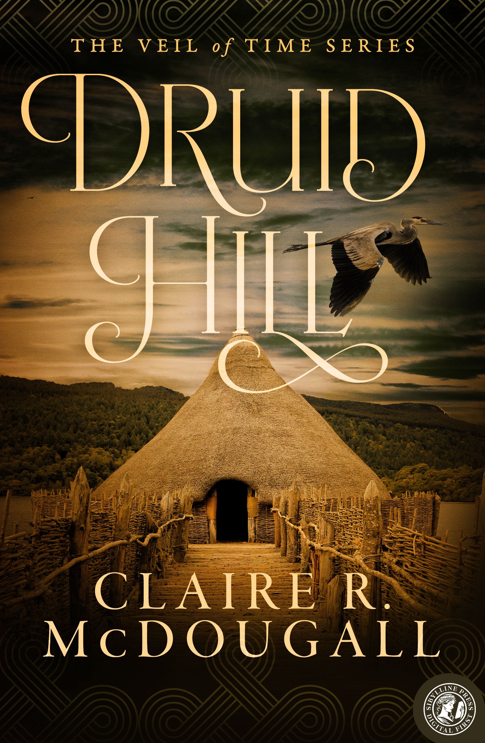 Druid Hill: A Veil of Time Novel (Book 2) (The Veil of Time Series)