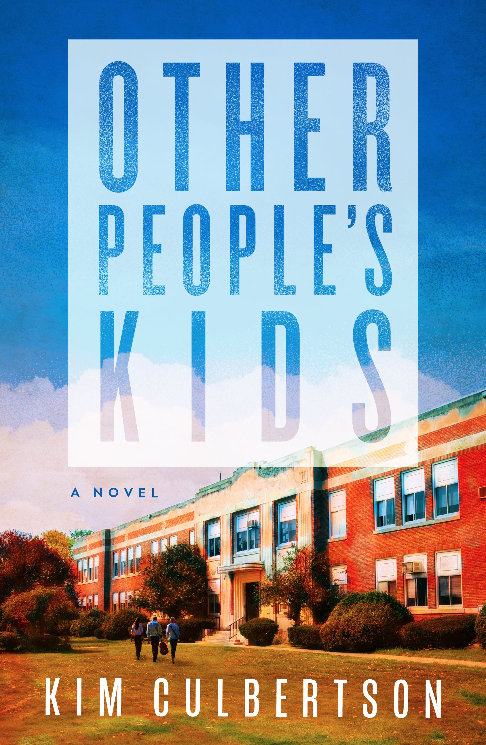 Other People's Kids: A Novel