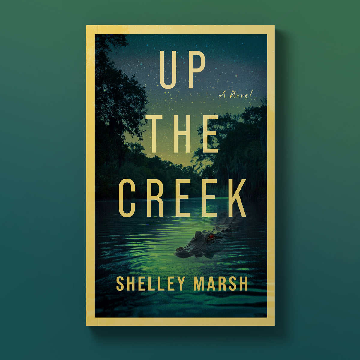 Up the Creek: A Florida Eco-Mystery