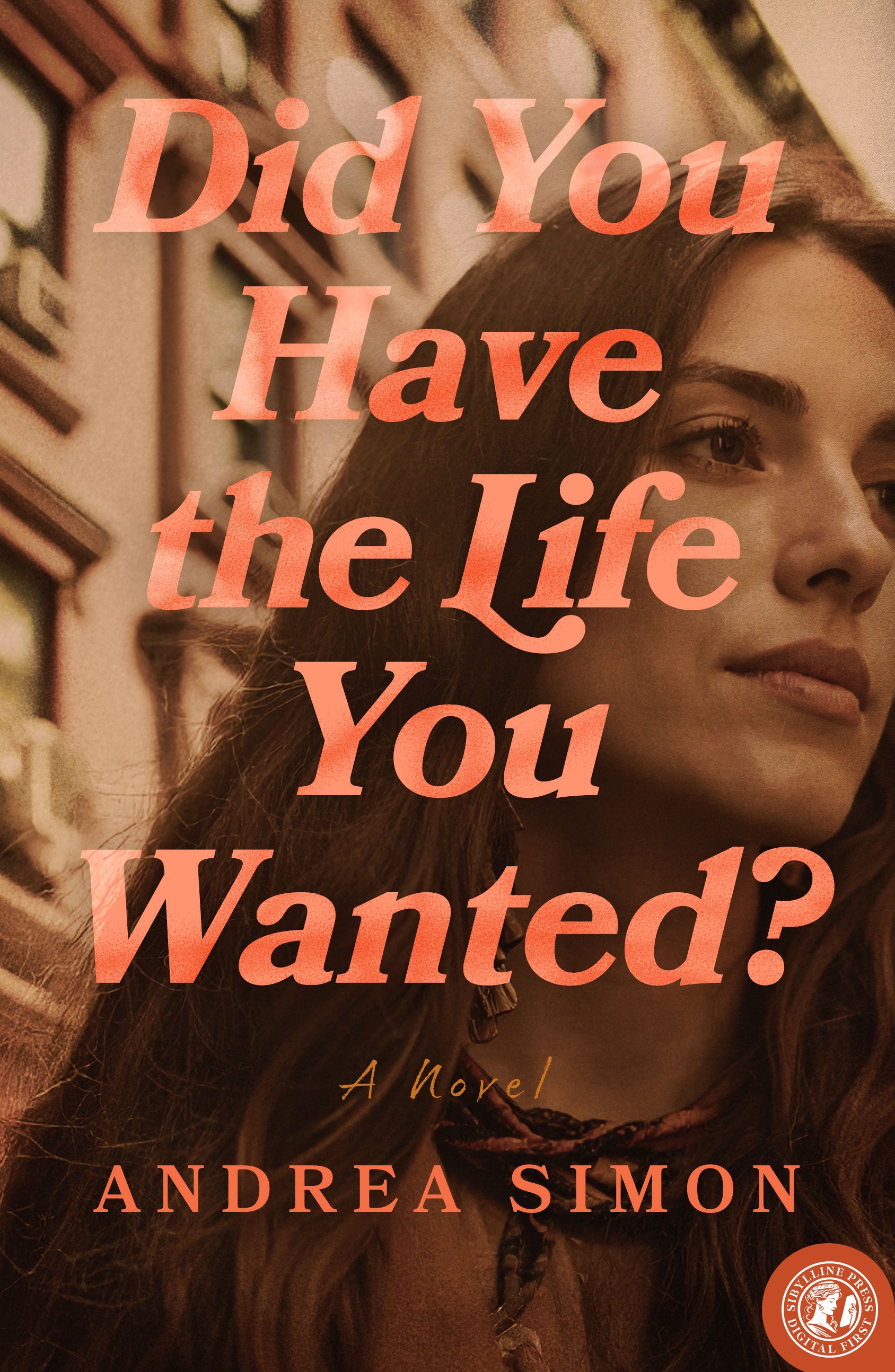 Did You Have the Life You Wanted?: A Novel