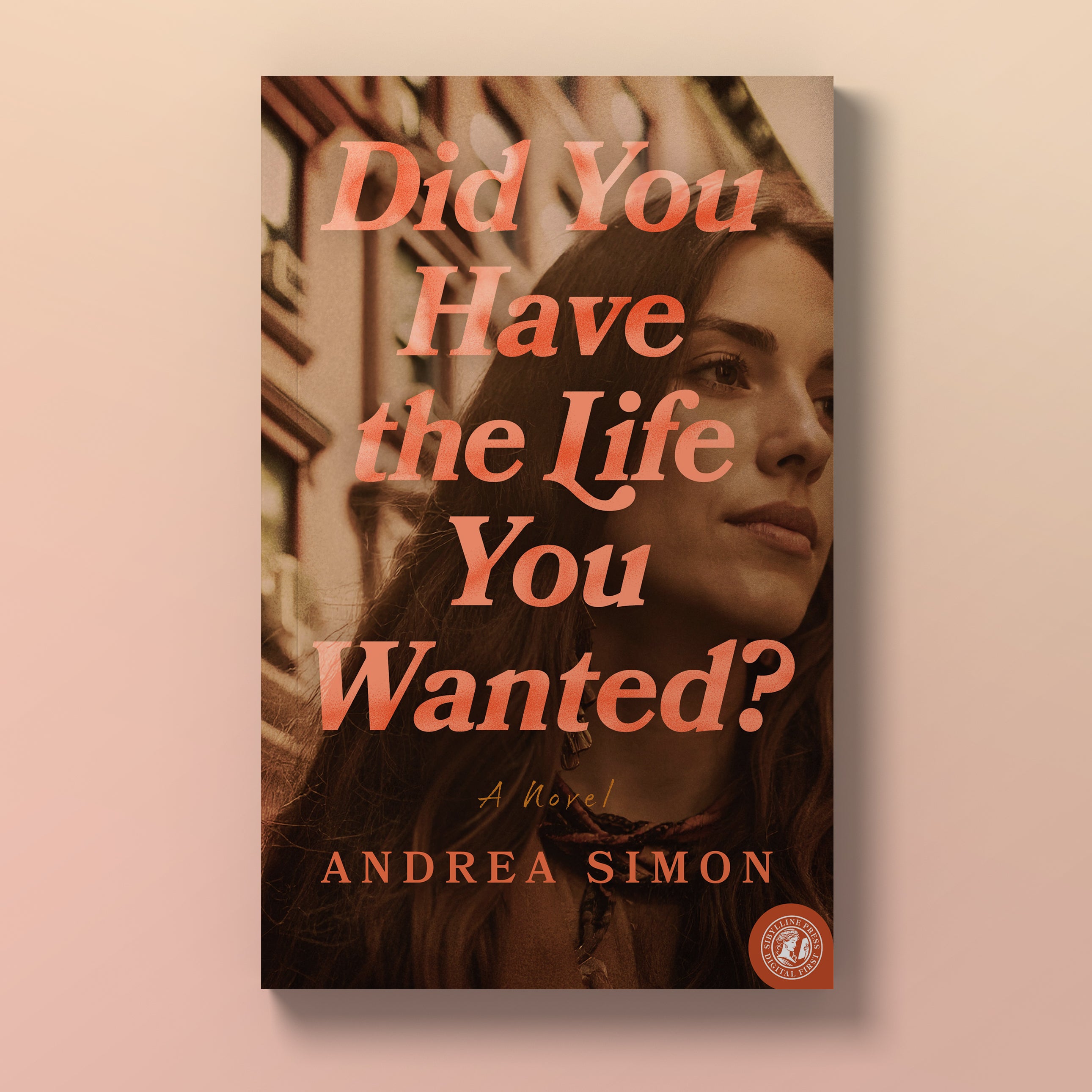 Did You Have the Life You Wanted?: A Novel