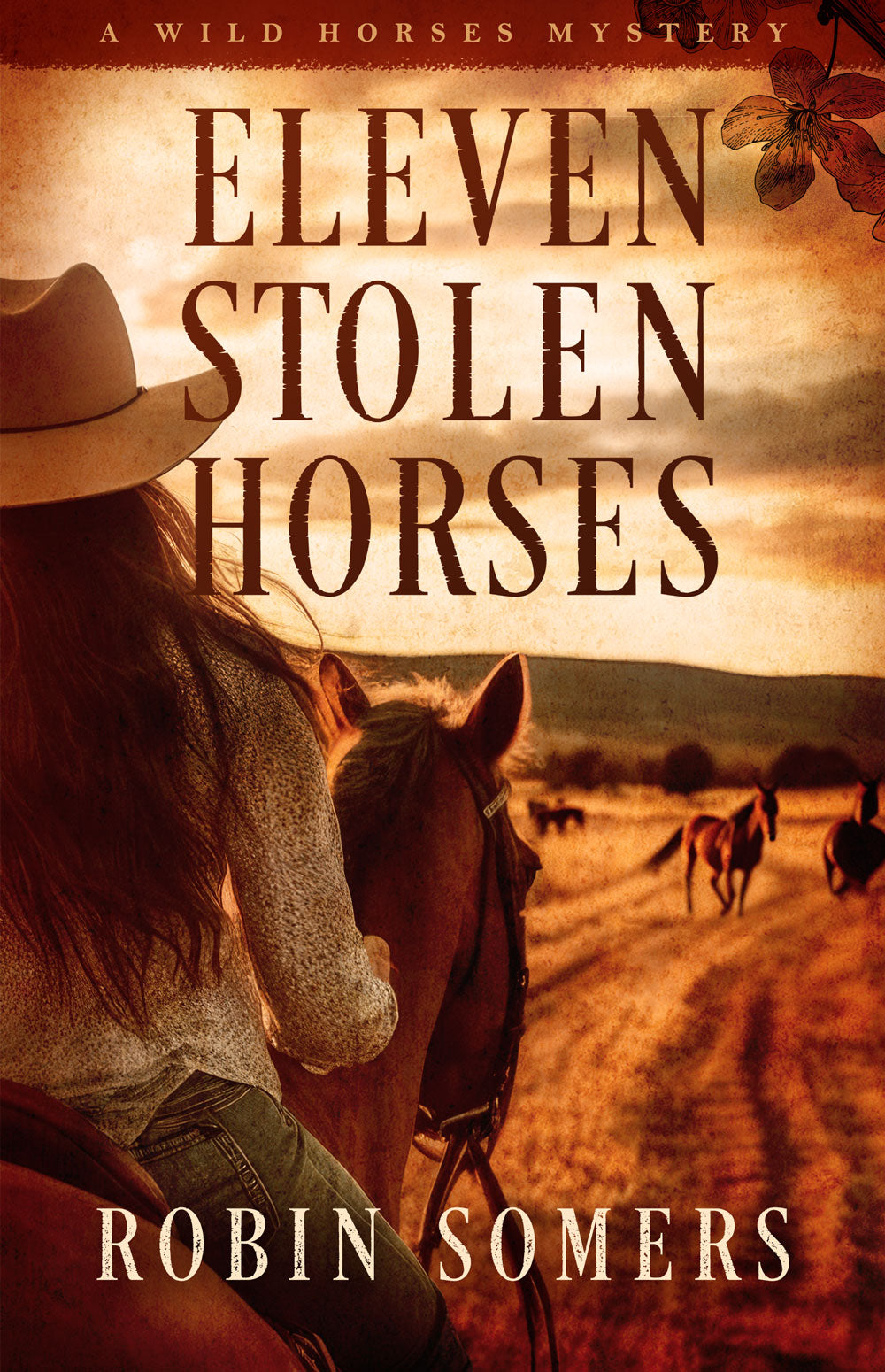 Eleven Stolen Horses: A Novel