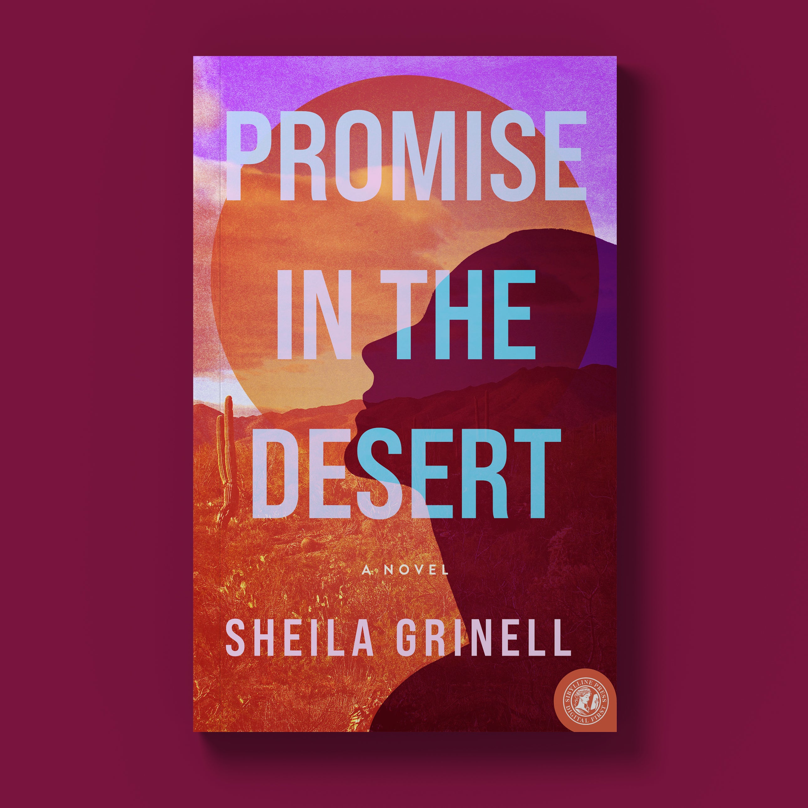 Promise in the Desert: A Sonoran Desert Novel (The Sonoran Desert Series Book 1)