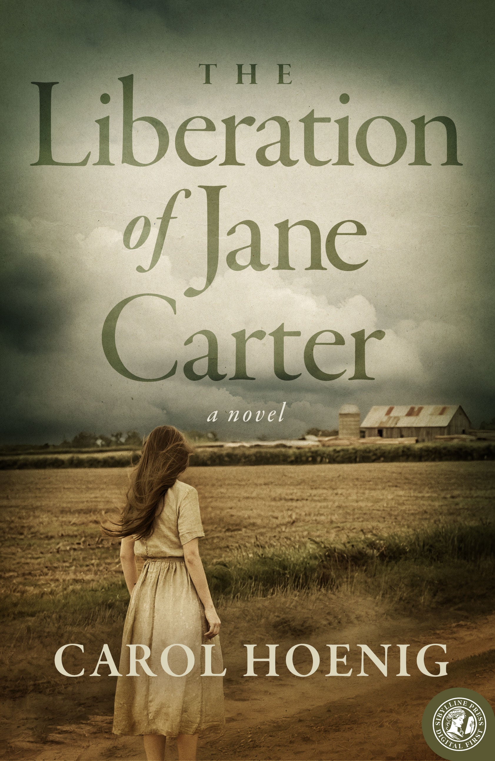 The Liberation of Jane Carter: A Novel