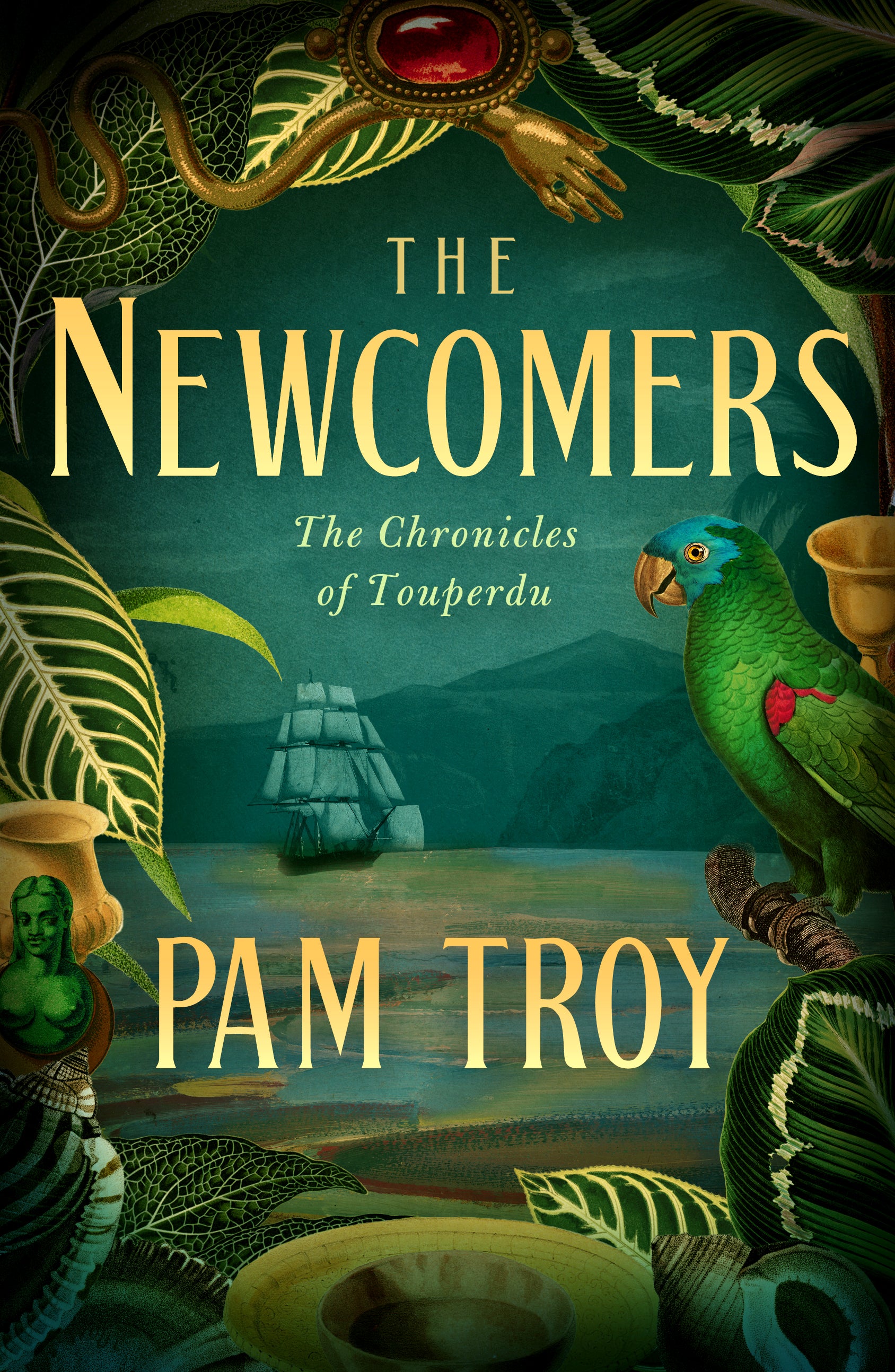The Newcomers: The Chronicles of Touperdu, Book I
