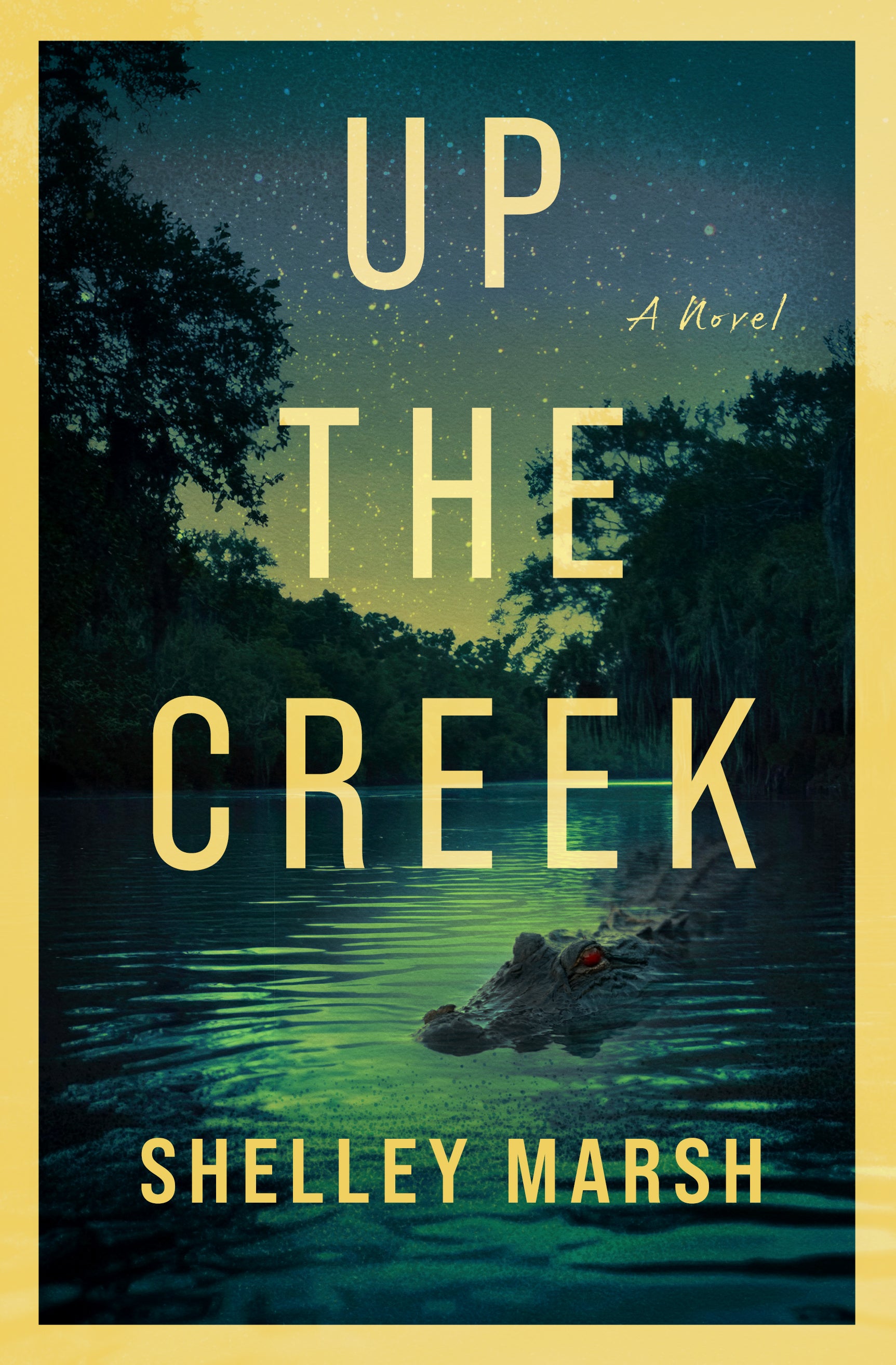 Up the Creek: A Florida Eco-Mystery